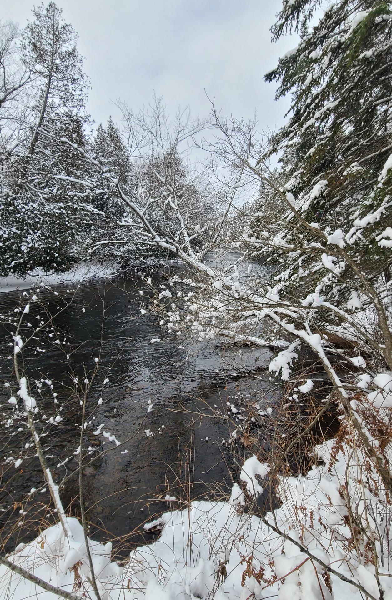 1507 Route 323 — photo 2