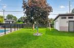 Cour