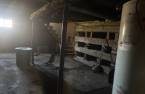 Cave/ chambre froide