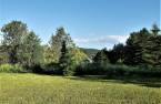 Terre/Terrain
