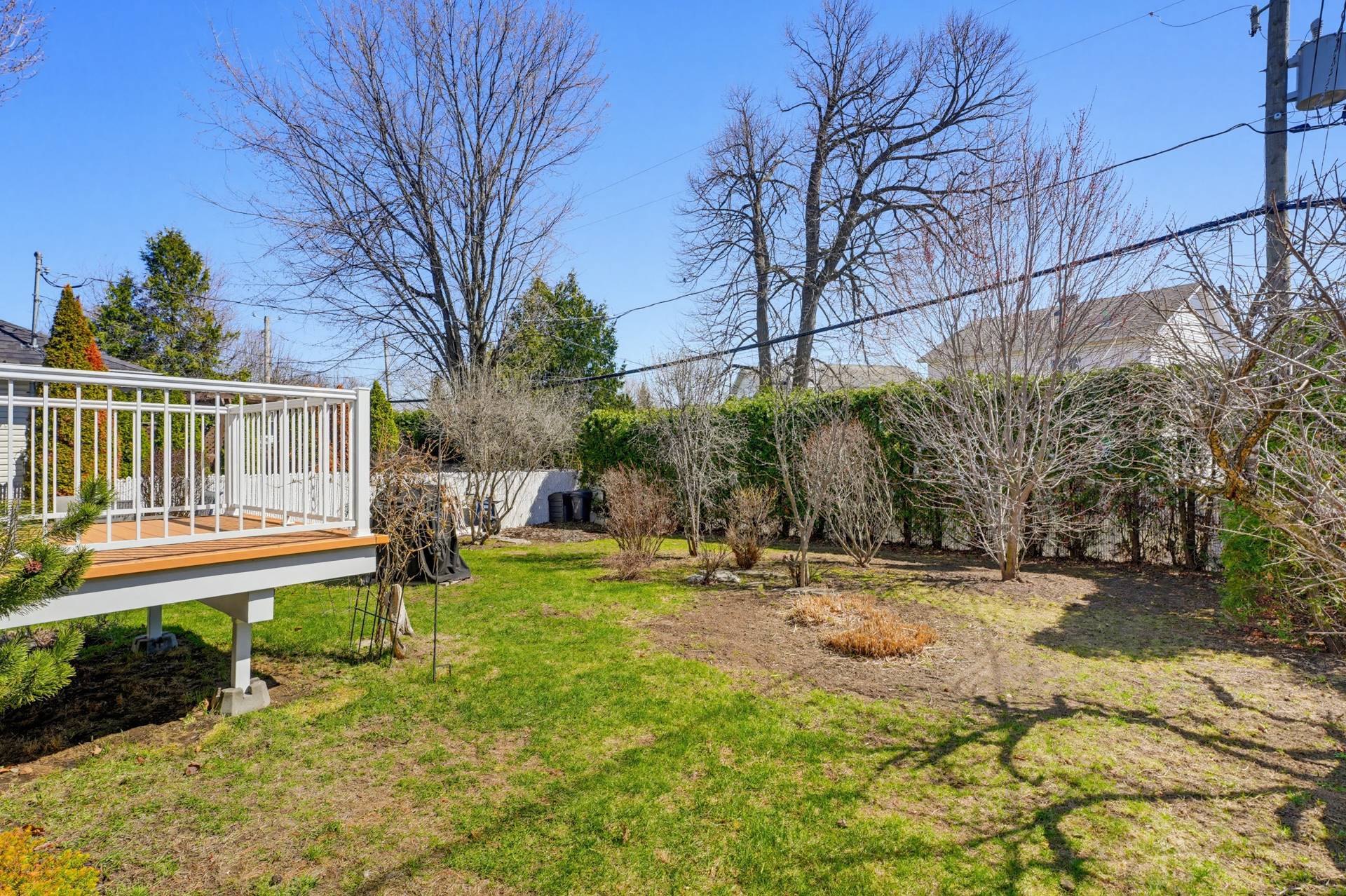 Backyard