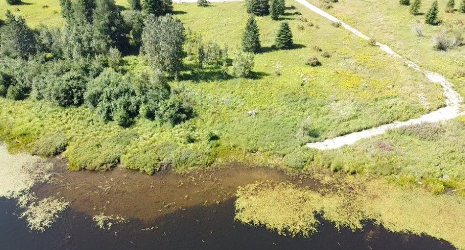 Accès au plan d'eau