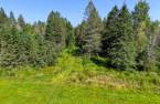 Terre/Terrain