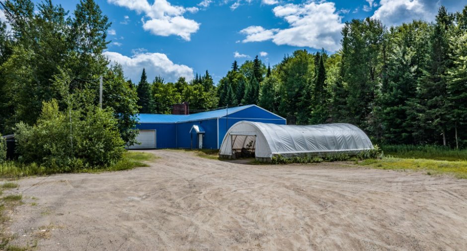Cour