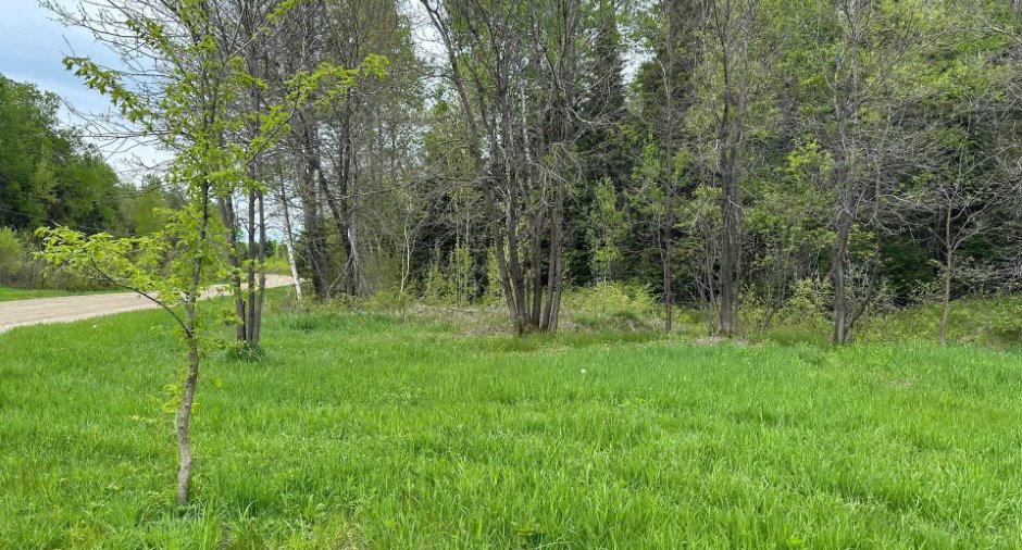 Terre/Terrain