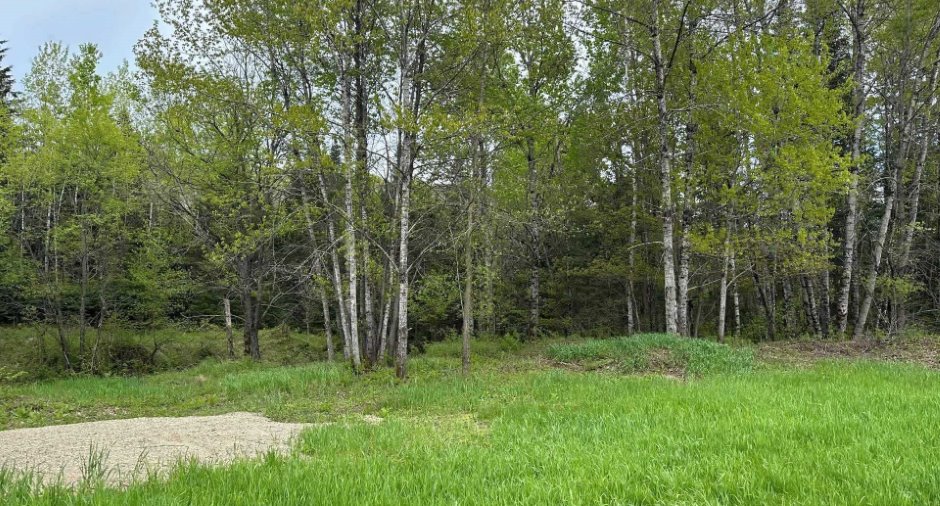 Terre/Terrain