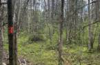 Terre/Terrain