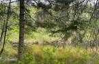 Terre/Terrain