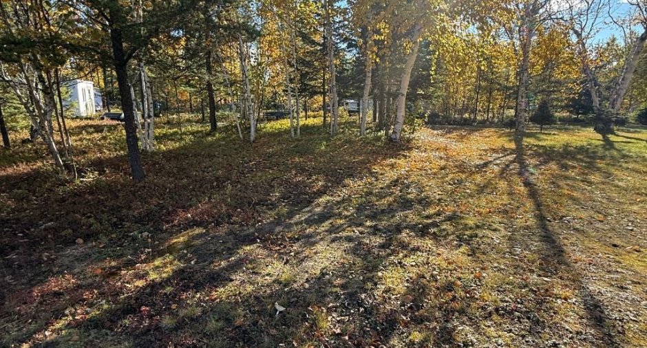 Land/Lot