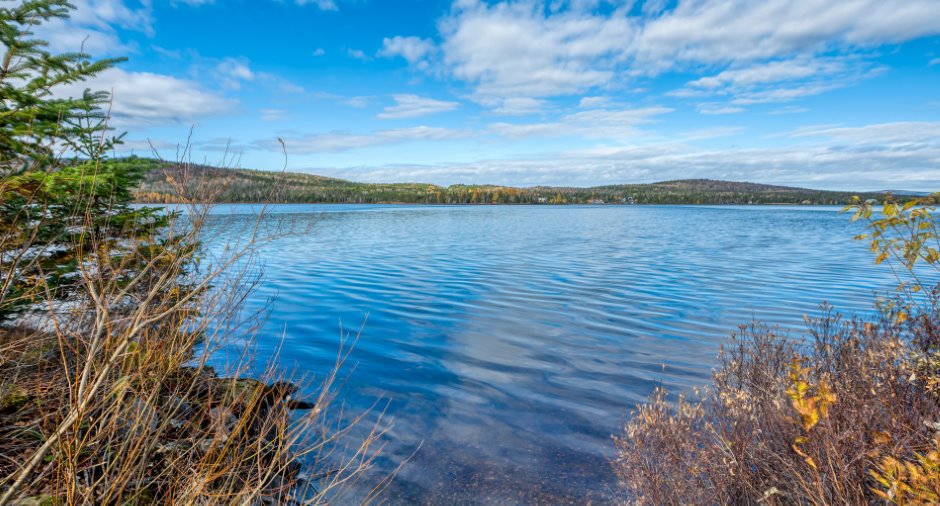 Vue sur l'eau