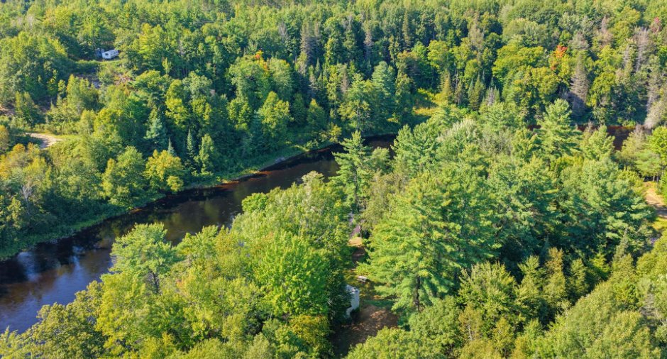 Aerial photo