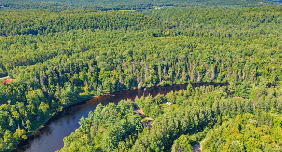 Aerial photo