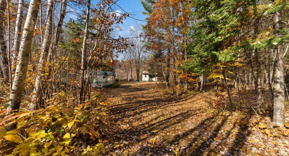 Land/Lot