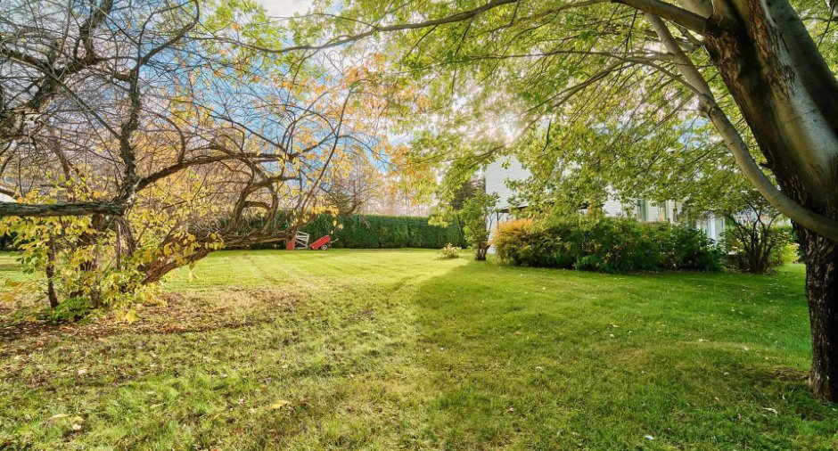 Land/Lot
