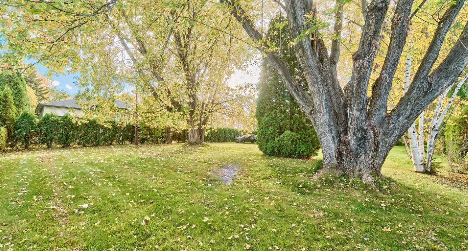 Land/Lot