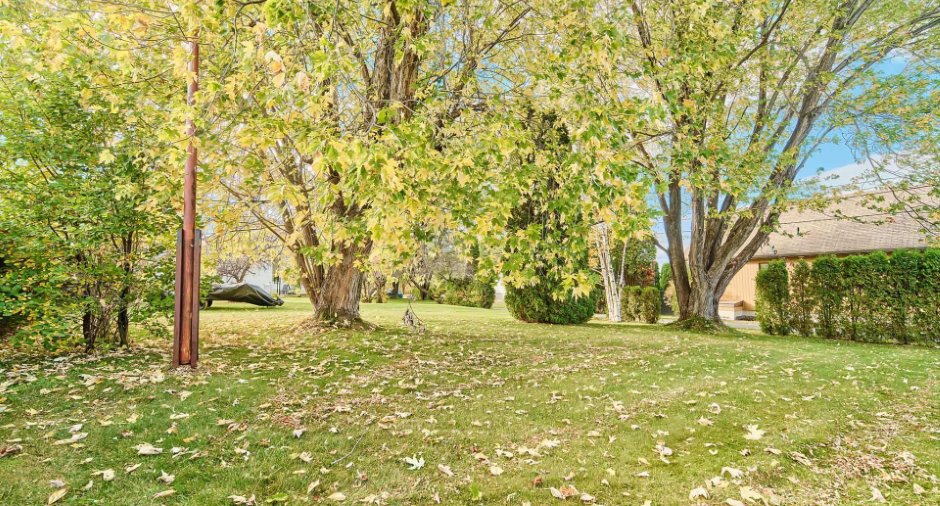 Land/Lot