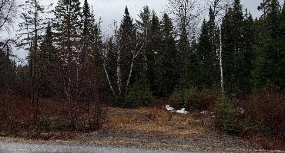 Land/Lot