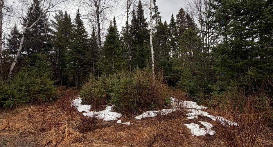 Land/Lot