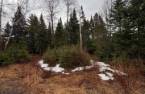 Terre/Terrain