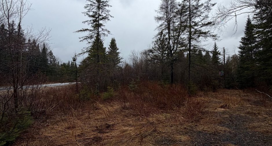 Land/Lot