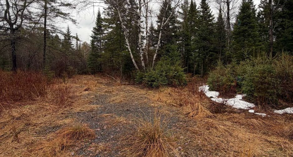 Land/Lot