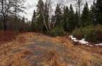 Terre/Terrain