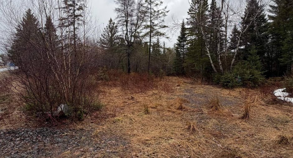 Land/Lot