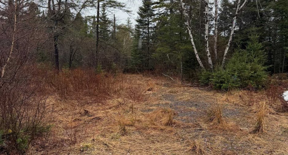 Land/Lot