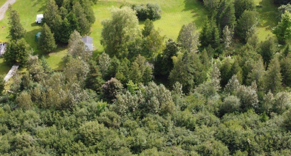 Aerial photo