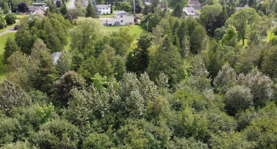 Aerial photo