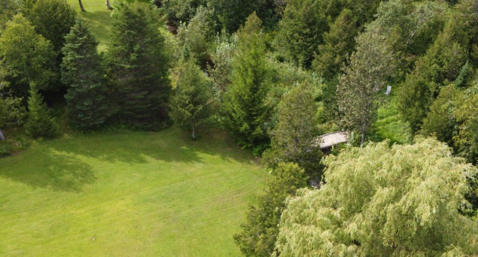 Aerial photo
