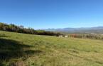 Terre/Terrain