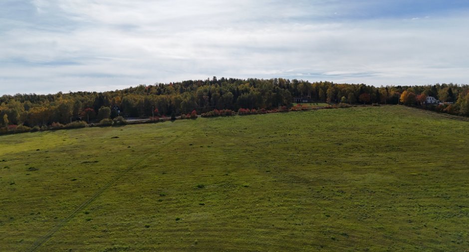 Terre/Terrain