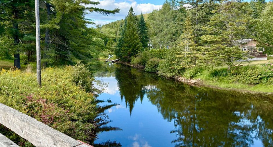 Vue sur l'eau