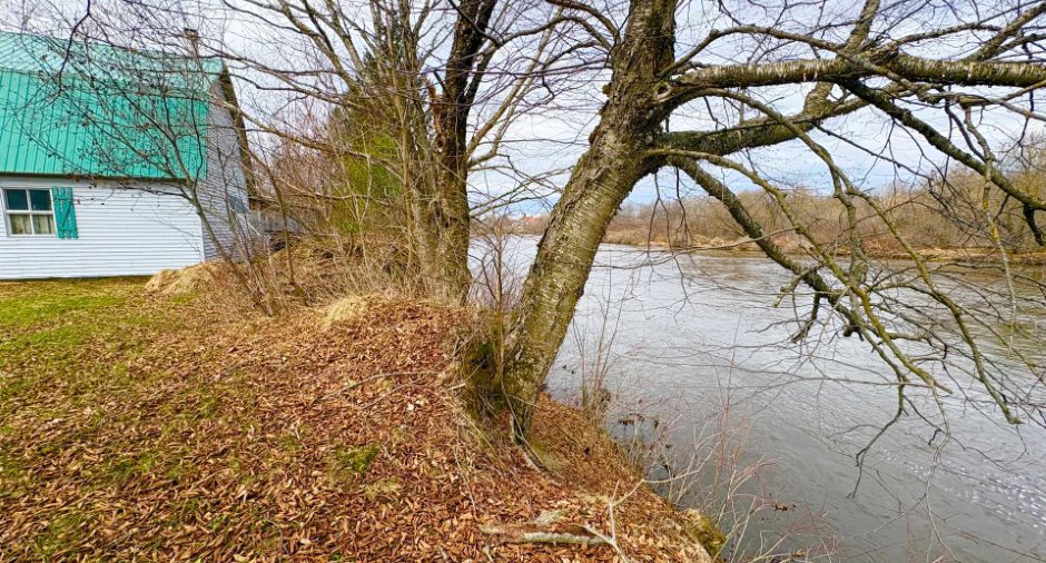 Bord de l'eau