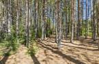 Terre/Terrain
