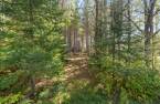 Terre/Terrain