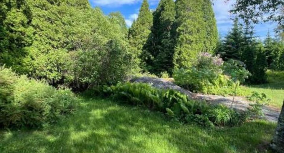 Land/Lot