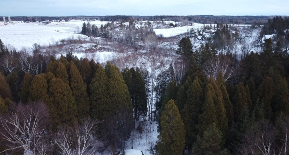 Terre/Terrain