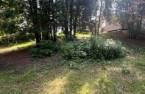 Land/Lot