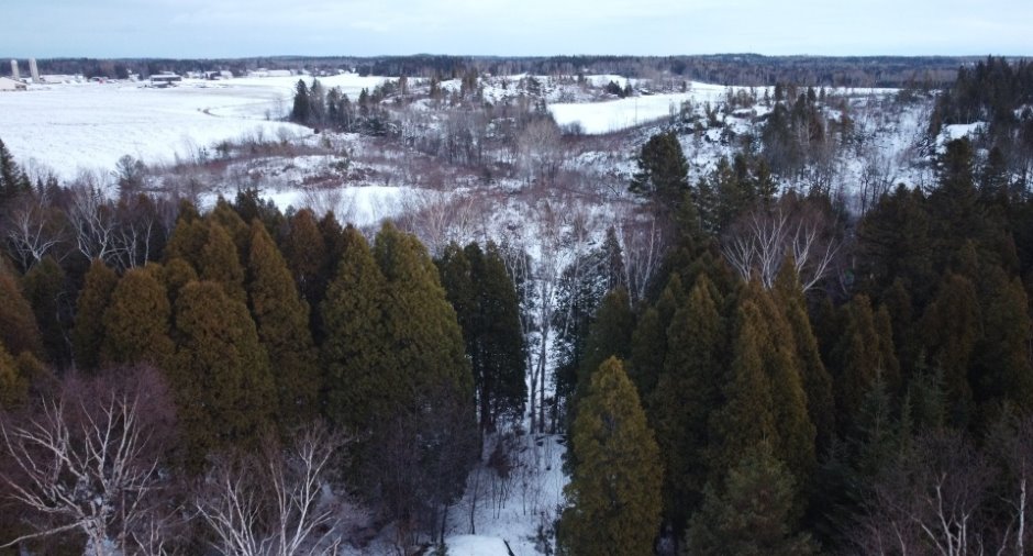 Land/Lot