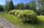 Land/Lot