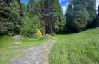 Land/Lot