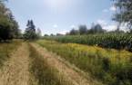 Terre/Terrain