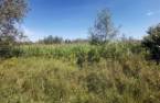 Terre/Terrain