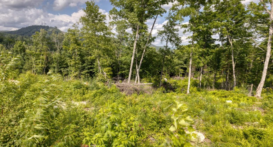 Land/Lot