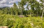 Land/Lot