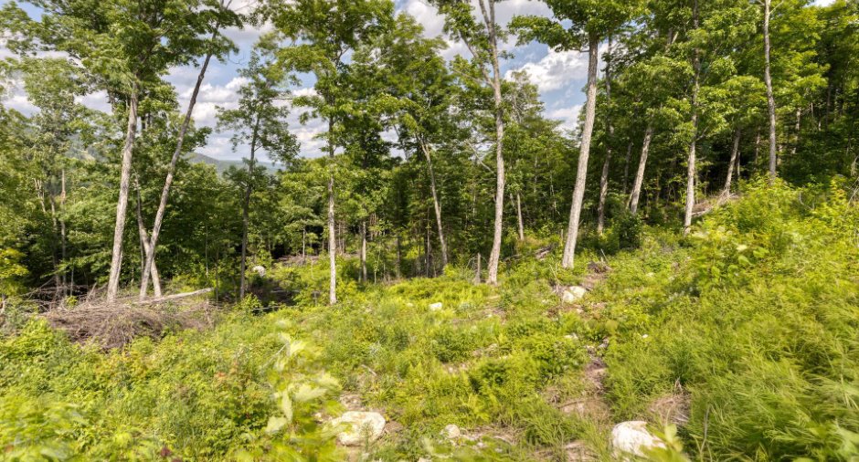Land/Lot