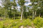 Land/Lot