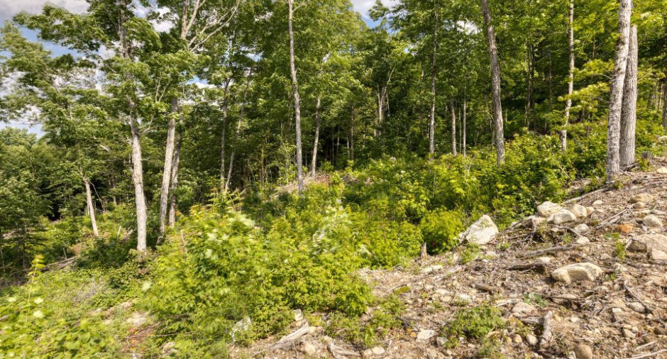 Land/Lot
